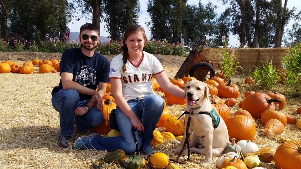 Picking Pumpkins 2015